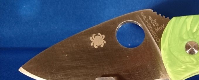 Spyderco Ambitious green Mamba