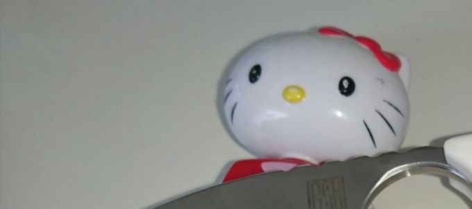 RSK Necki mit Corian in Weiss, für eine Kundin, zum Fotos machen bestand meine Tochter darauf, das die Hello Kitty mit aufs Bild musste. 